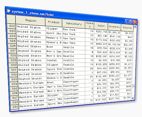 Sy View, Managing data on the server, Searching through SAS datasets , Summarizing data with frequency or continuous statistics, Exporting data to Excel format, SAS Data Viewer, Data Viewer, Syview, View SAS without lock, SAS Dataset Viewer, SAS Dataset View, SAS Data View